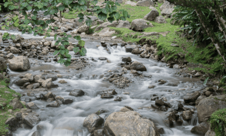 implementation roadmap, team collaboration, data modeling, business meeting