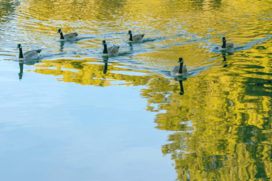 performance analytics, business metrics, data visualization, executive reporting